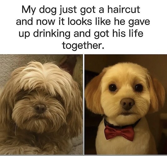 Screenshot_2025-07-08-10-50-24-29_b72a20be883aec8a014bd2b7c7038e87