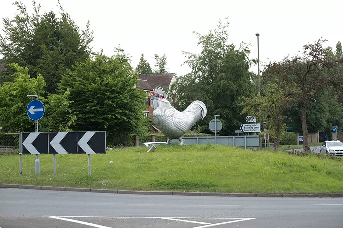 dorking-cock