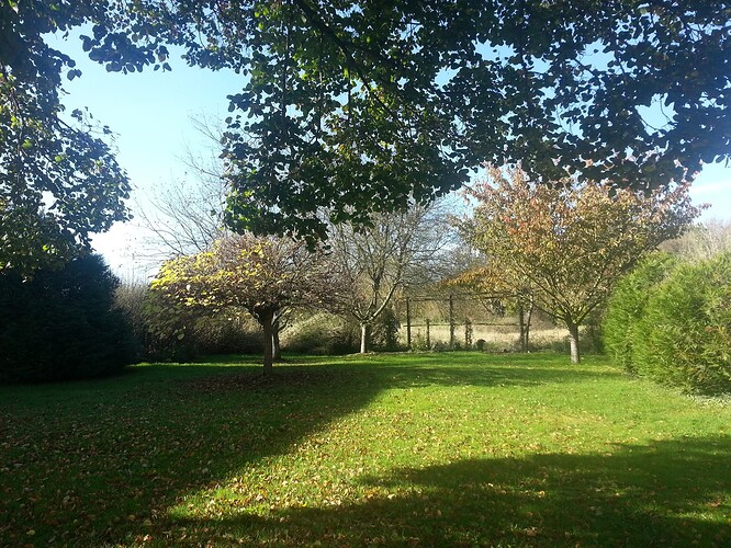 20141112_113902