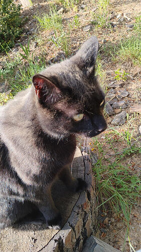 IMG-20260515-WA0011