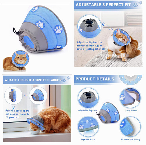 cat collar