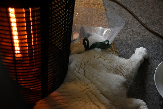 home where it is warm