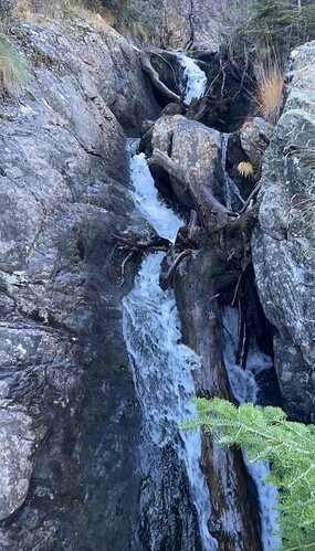 IMG_0744