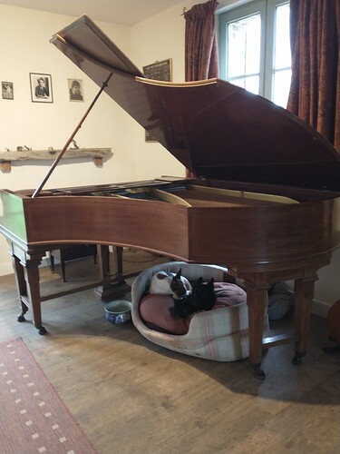 IMG_20251223_114056945