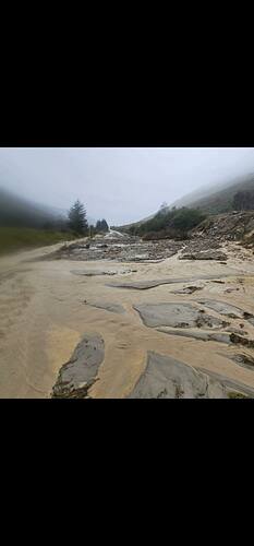 received_689162536466279