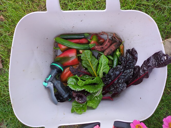 2025-11-17-17-28-11-164