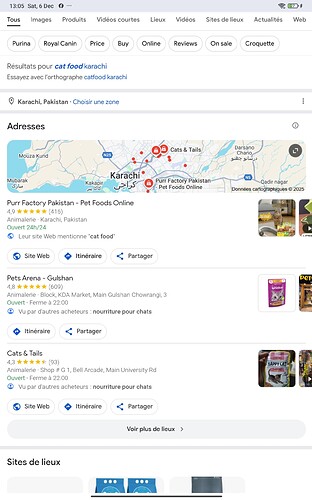 Screenshot_2025-12-06-13-05-17-613_com.android.chrome