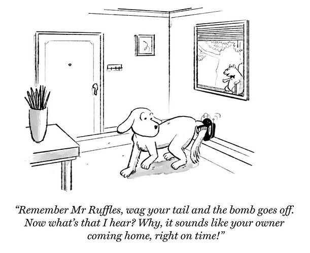 Mr-ruffles-squirrel