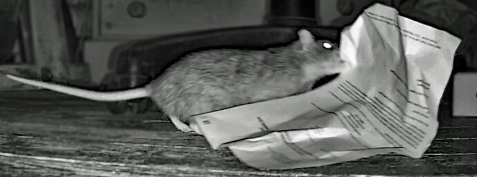 filing tray thief