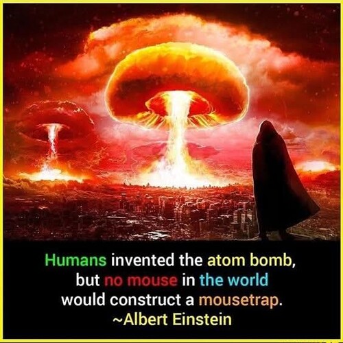 Screenshot_20250922-114517~2