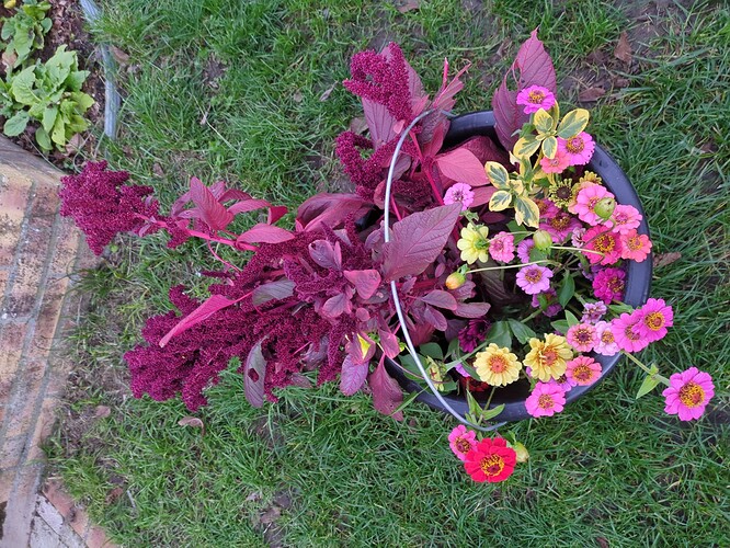 2025-11-17-17-29-49-542