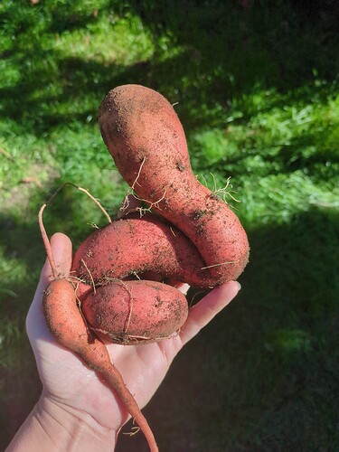 2025-10-11-16-05-51-168