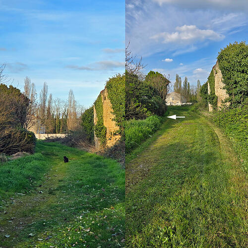 chemin