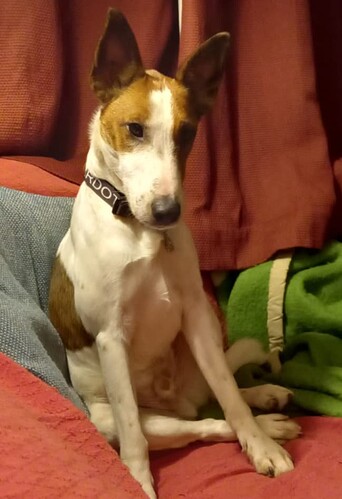 Screenshot_20250120-081420~2