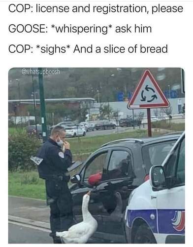 FB_IMG_1712497394200