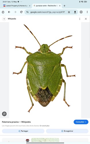 Screenshot_2024-05-12-20-07-41-636_com.android.chrome