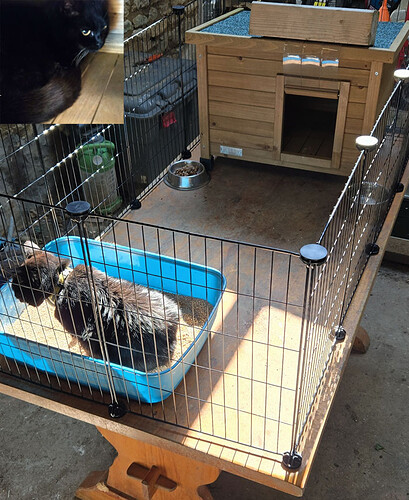 little noire at home