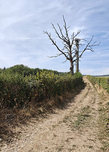IMG_20260823_164256