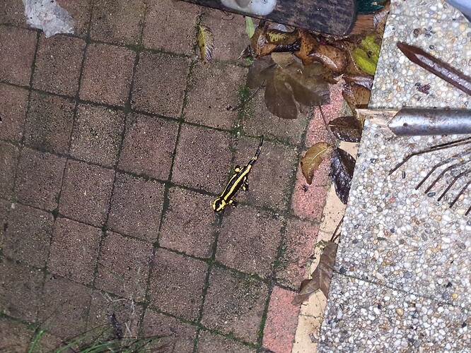 2025-11-06-19-07-46-579