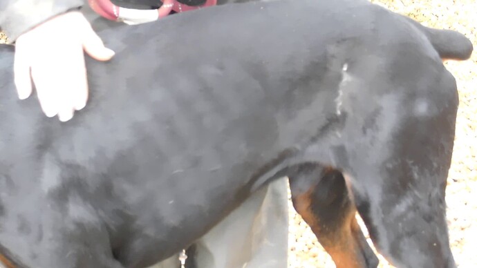 vlcsnap-2025-02-08-16h20m39s526