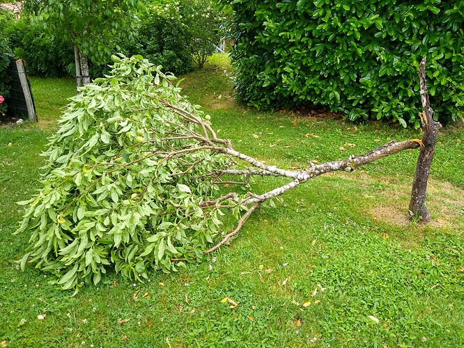 IMG_20210617_100843797_HDR