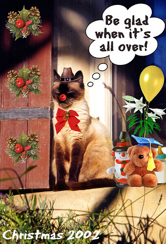 fanny xmas card