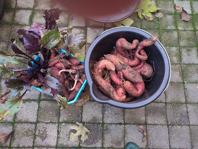 2025-11-08-17-31-47-854