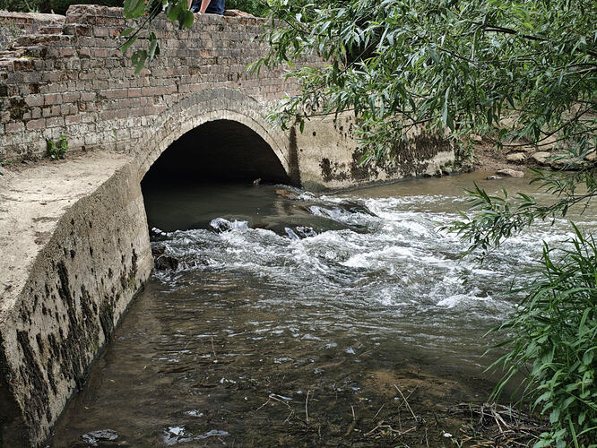 24 River