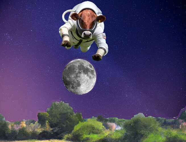 225 And the cow jumped over the moon..jpg