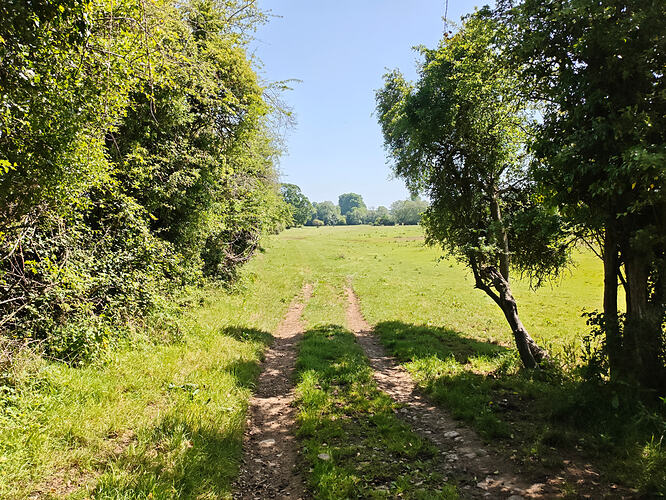 MVIMG_20260525_105925