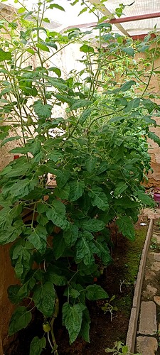 IMG_20230725_125002