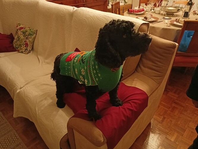 IMG20251224182808