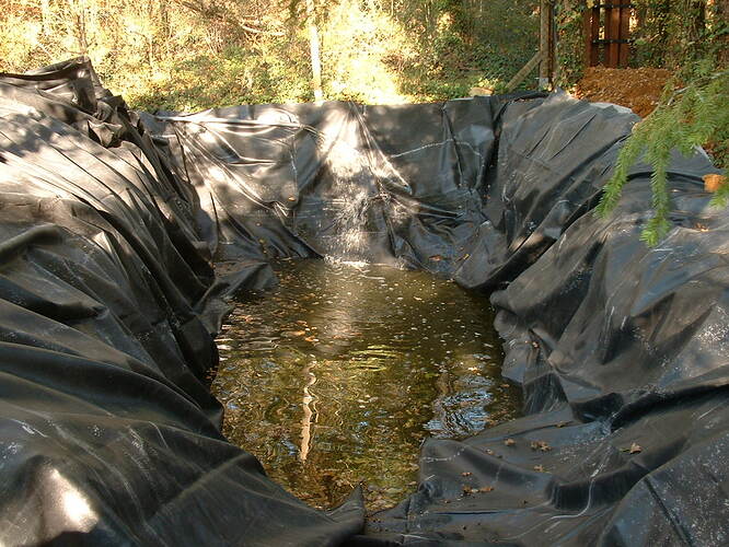 top pond 23 - filling