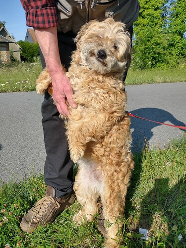 IMG_20250617_182732061_HDR