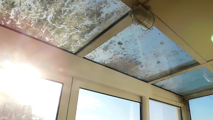 vlcsnap-2024-12-04-15h09m44s780