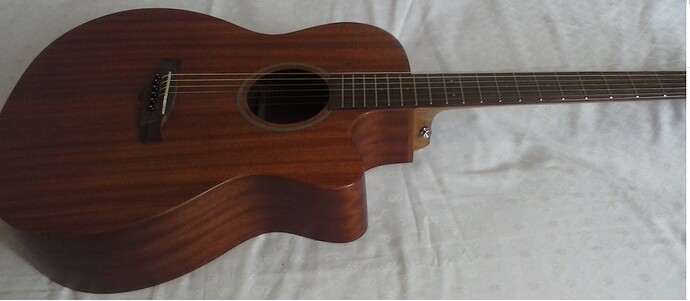 tanglewood 5