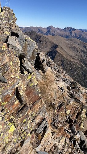 IMG_0752