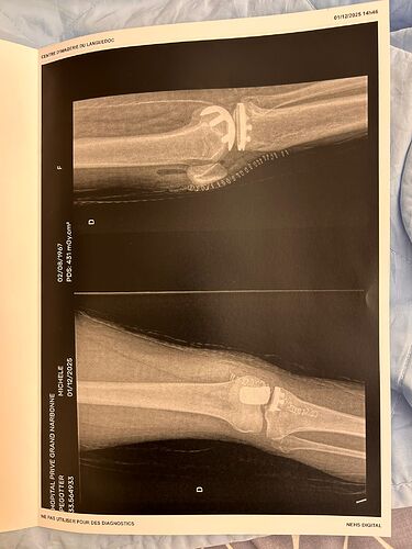 WhatsApp Image 2025-12-01 at 20.27.47