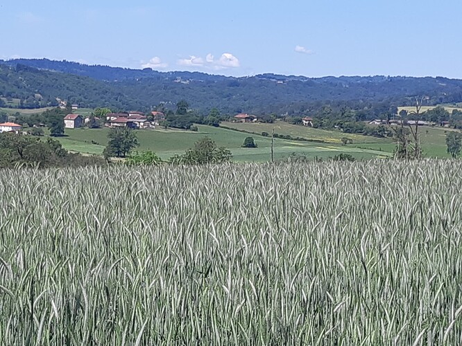 20250514_120008