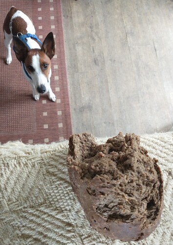 IMG_20251107_155023708