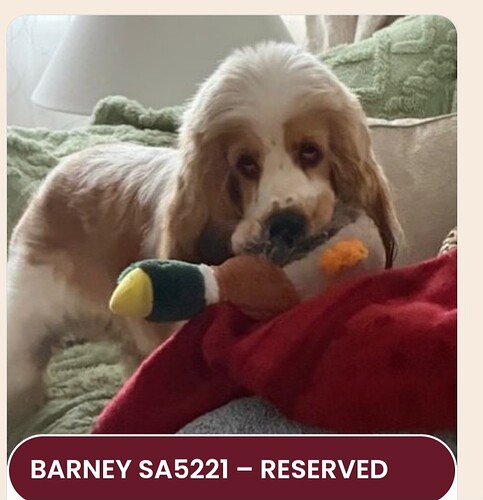 Screenshot_20260214_174840_Chrome