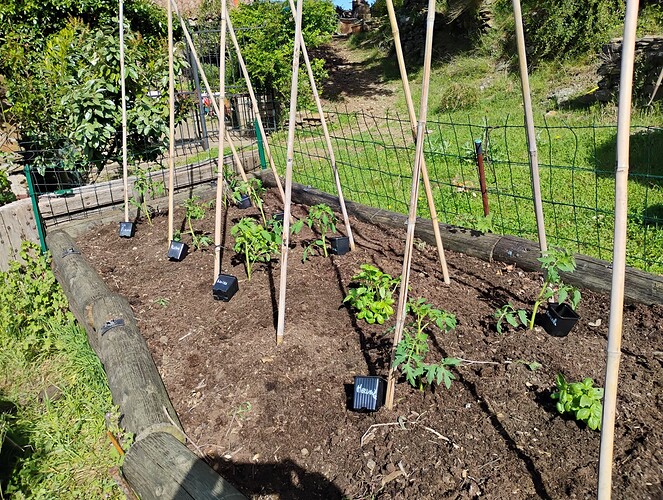 IMG_20250502_101754669