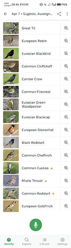 Screenshot_20260407_084611_com_labs_merlinbirdid_app_IdentifyActivity