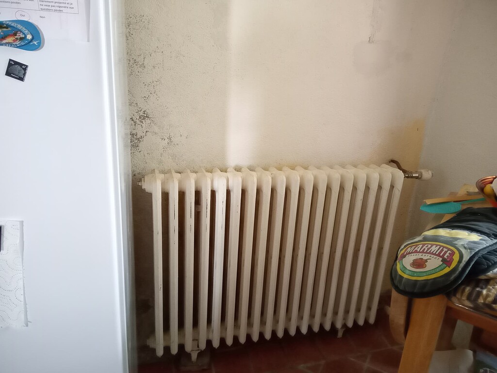 Two Radiators For Sale - Small Business Listings - Survive France