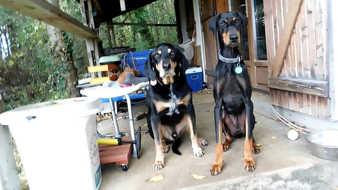 Jules' (L) 11th birthday with Hades