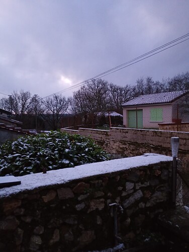 IMG_20251225_081123474_MFNR