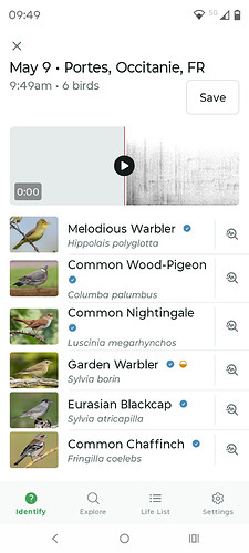Screenshot_20260509-094943.Merlin Bird ID
