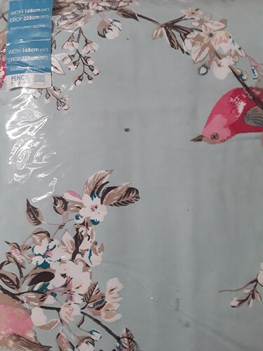 duck egg blue 02