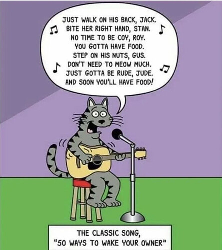 image.thumb.png.675eac1aa6807656193efe2ab313189a