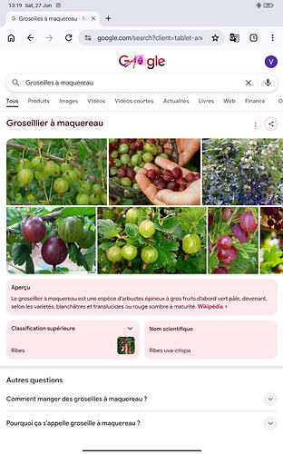 Screenshot_2026-06-27-13-19-17-512_com.android.chrome